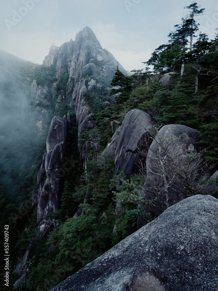 Fototapeta landscape