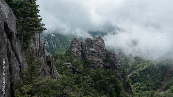 Fototapeta landscape