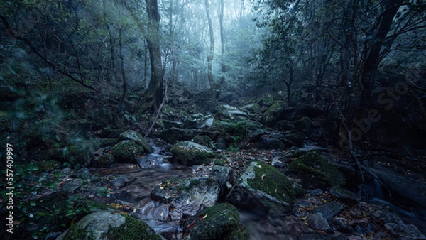 Fototapeta landscape