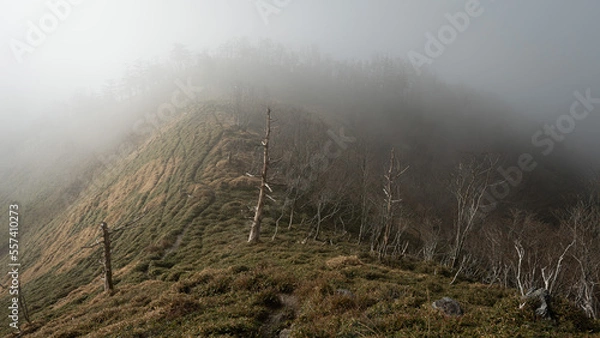 Fototapeta landscape