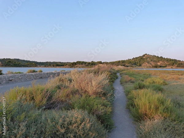 Obraz Saline de Peyriac-de-Mer