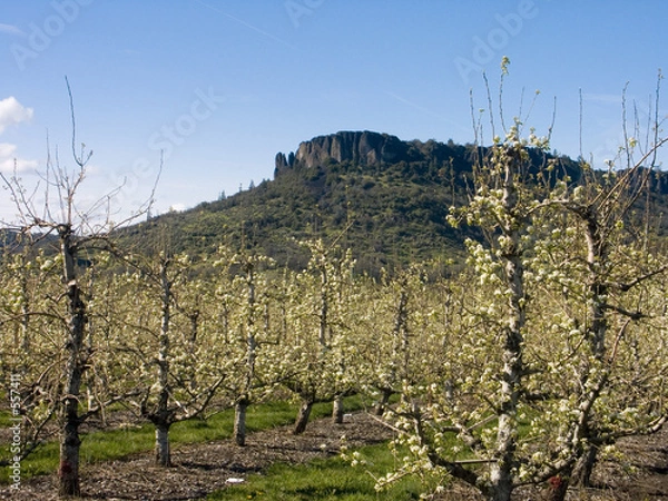 Obraz table rock - southern oregon