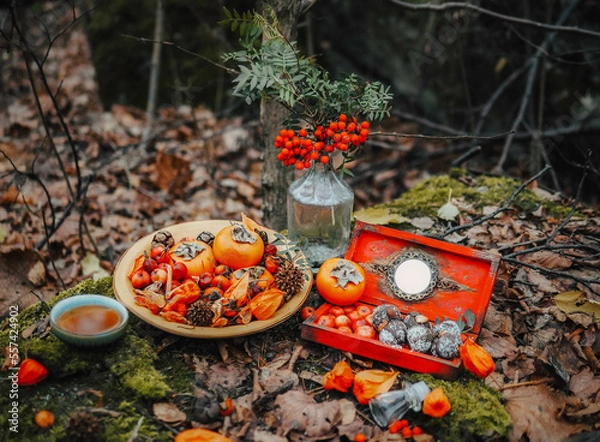 Obraz autumn still life