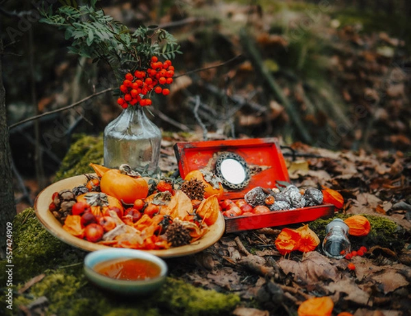 Obraz currant berries