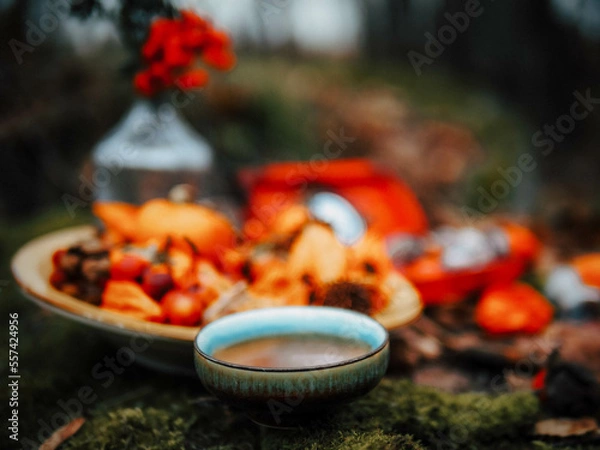 Obraz vegetables in a garden