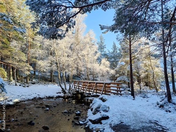 Obraz Bridge Over River - Loch an Eilein