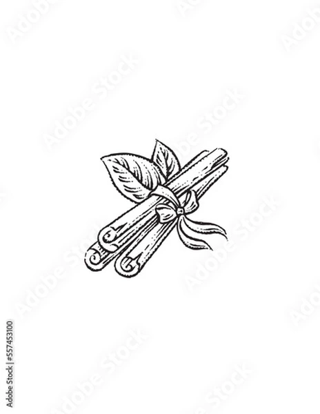 Obraz cinnamon sticks