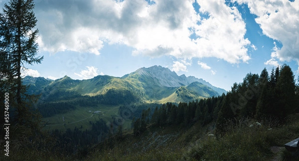 Obraz Alpen im Sommer