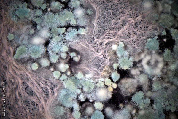 Obraz Various mold growing on beer lees