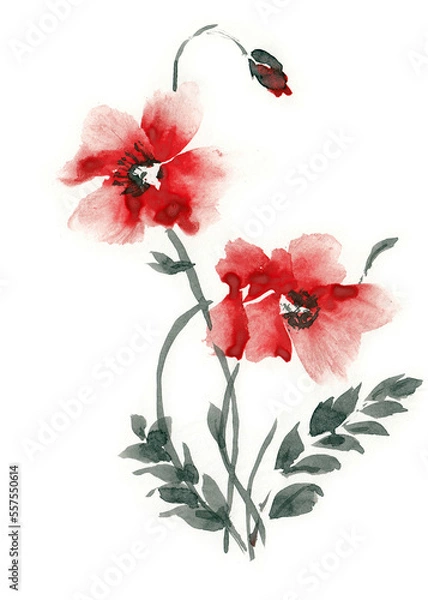 Fototapeta Poppy flowers on a white background, made in Chinese technique go-hua. Hand drawn watercolor with paper texture. Raster image