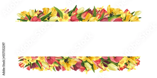 Fototapeta Frame with Tulips and daffodils. Watercolor banner. Easter floral Illustration for template, womens day, 8 march, poster