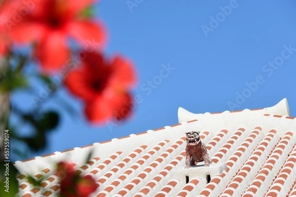 Obraz 沖縄県竹富島　シーサーと赤瓦と青空と花