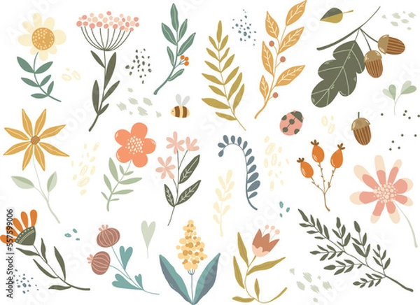 Fototapeta Botanical vector elements, wild flowers, leaves, bee, ladybug, dots, acorn in doodle style