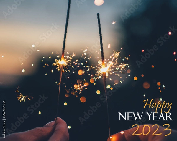 Obraz New year fireworks