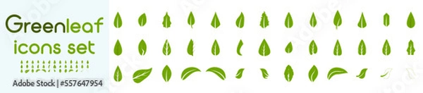 Fototapeta Green leaf icons set. Leafs green color icon logo. Green leaf nature element. Leaf green collection.