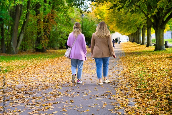 Fototapeta couple walking in the park girlfriend, walking, day, fun, holdinghands, parent, person, path, adventure, holding, cheerful, way, life, recreational, healthylifestyle, weather, dating