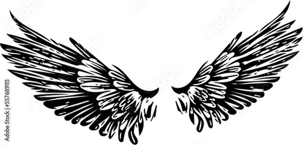 Fototapeta eagle wings