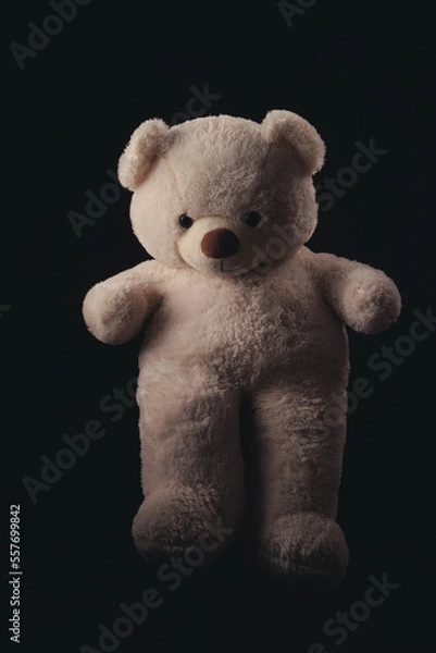 Obraz Beige Teddy Bear on black background.