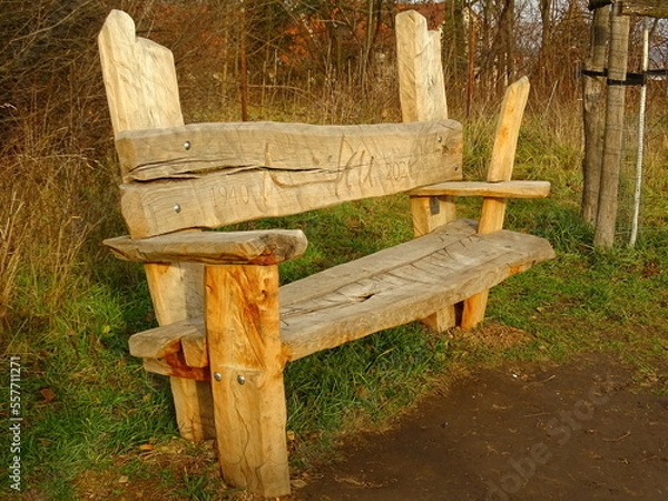 Obraz bench in the woods