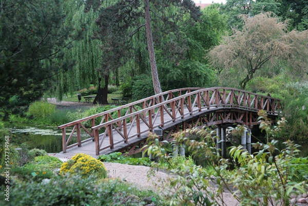 Obraz bridge in the forest