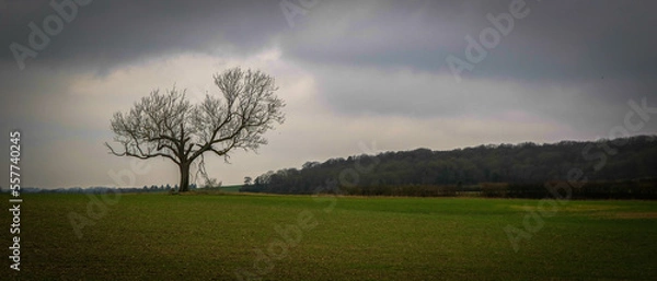Obraz Countryside views