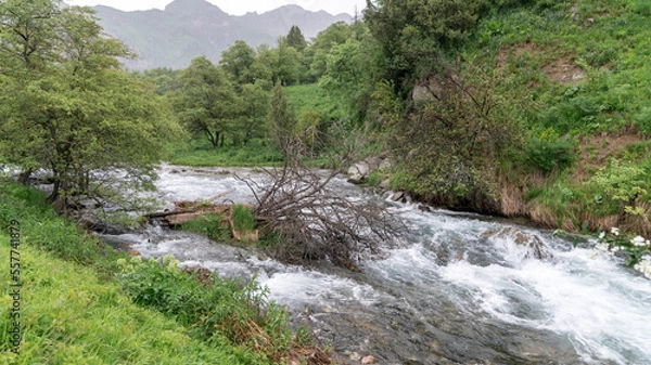 Fototapeta River in Sary-Chelek Nature Reserve landscape, a protected area located in the Kyrgyzstan. It is home to a diverse range of plant and animal species