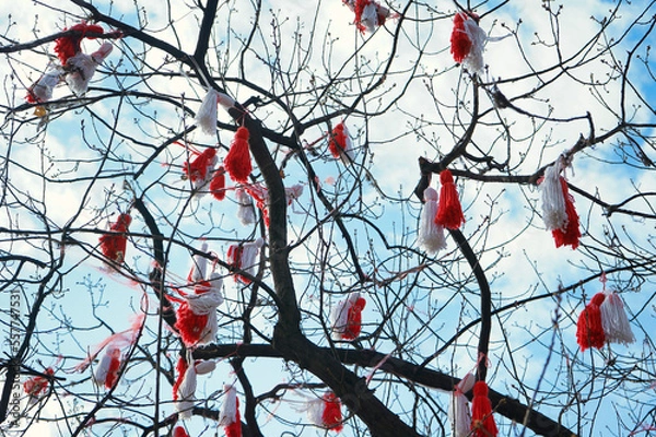 Obraz Red and white beautiful martenitsa hanging on the branches of the blooming tree. Martenitsa is used in Bulgaria and Romania for beginning of spring celebration.