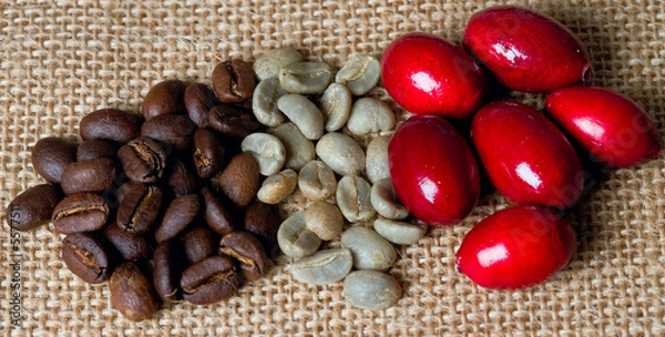 Obraz granos de cafe