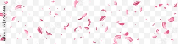 Obraz Pink Rose Tender Vector Transparent Panoramic