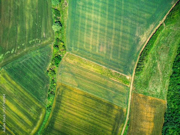 Fototapeta Drone's Eye View: A New Perspective on Agricultural Patterns. Aerial Agriculture: Uncovering Patterns from Above.