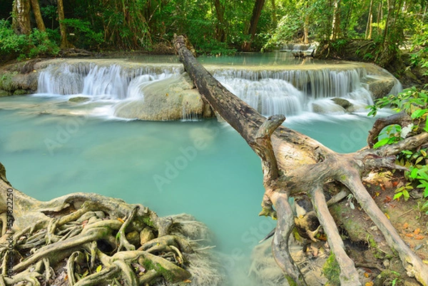 Obraz waterfall in the forest