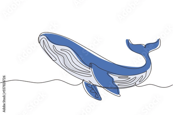 Obraz Continuous one line drawing wild whale fish swimming in sea life. Marine animal digital concept. Blue whale and scuba diver under ocean water. Single line draw design vector graphic illustration