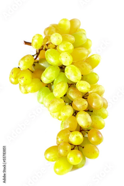 Obraz Bunch of green grapes