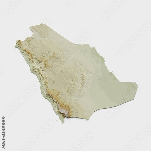 Obraz Saudi Arabia Topographic Relief Map  - 3D Render