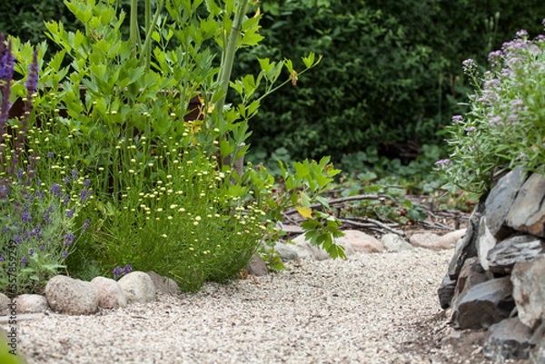 Obraz Kiesweg im Garten