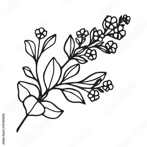 Obraz Art's natural branches leave elements. Vector illustration