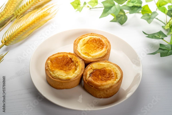 Obraz ベイクドチーズタルト 