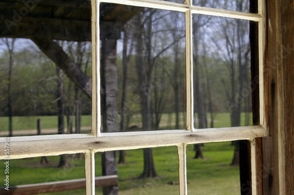 Fototapeta reflections