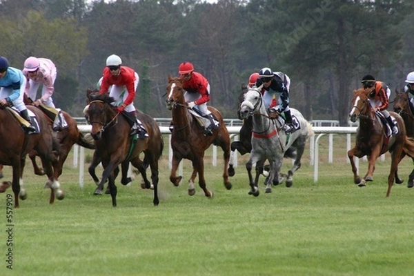 Obraz course de chevaux