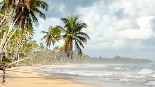 Obraz Large wild tropical deserted beach without people. Coconut palms are tilted over the shore. Large waves of turquoise sea on the sand