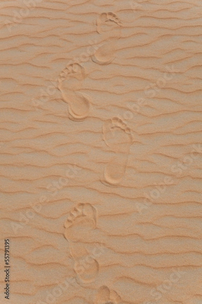 Obraz footprints in the desert