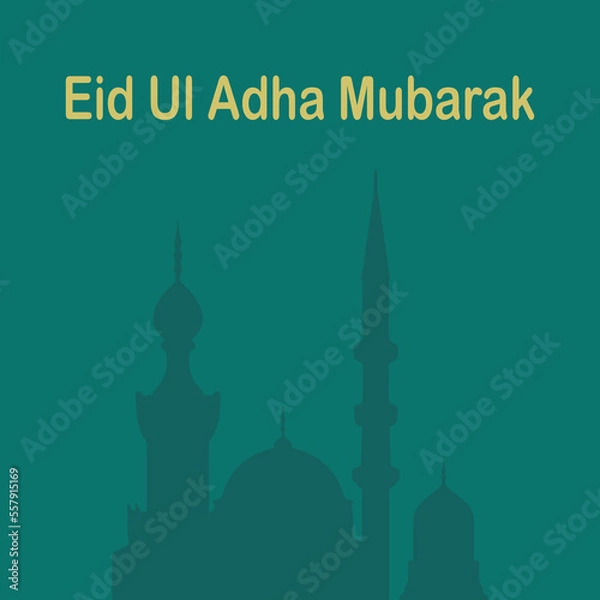 Obraz mosque country