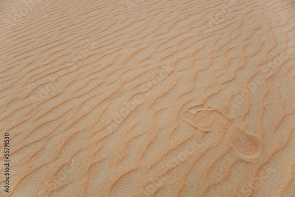 Obraz footprints in the desert
