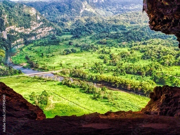 Obraz plantation in the mountains