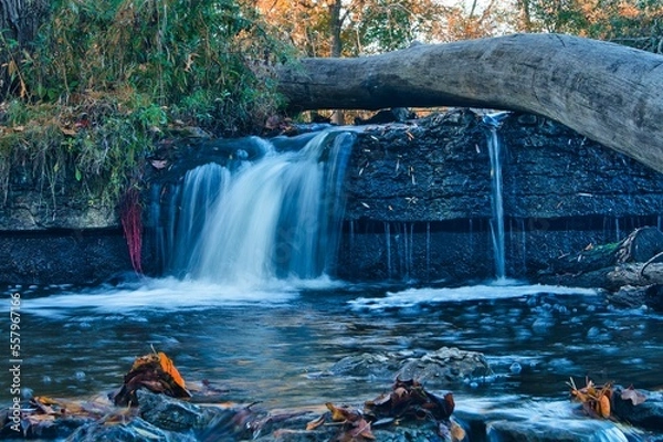 Fototapeta waterfall in the forest