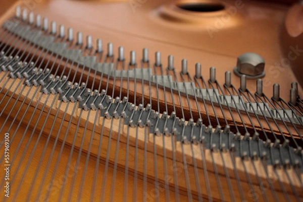 Obraz Allineamenti tesi