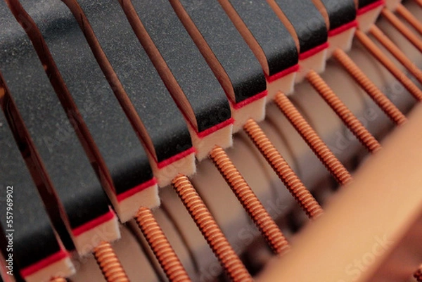 Obraz Martelletti e corde