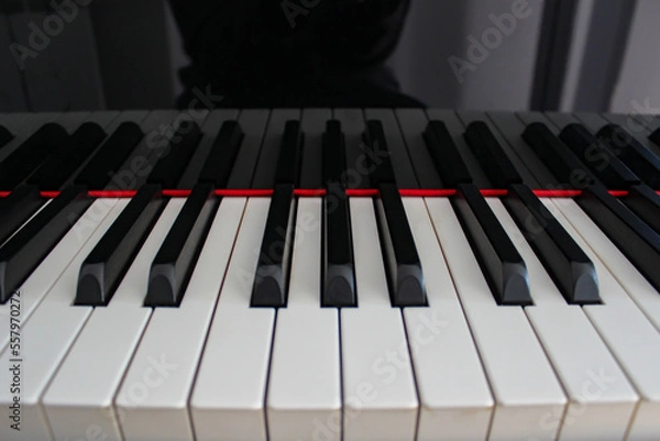 Obraz Attesa di suonare