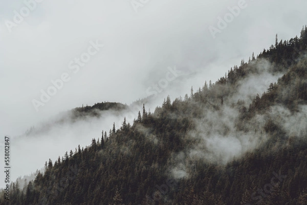 Obraz Mountains around Whittier Alaska
