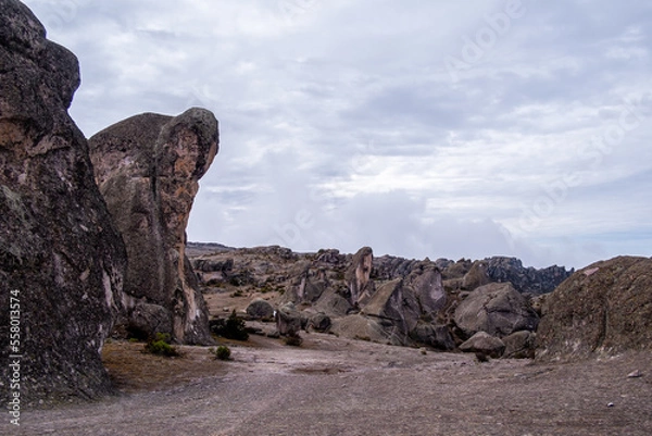 Fototapeta the entrance to the valley of the seals, rock formations that resemble seals.